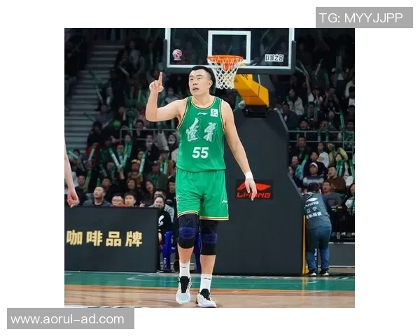 韩德君：从篮球新星到职业生涯巅峰的传奇之路与奋斗历程